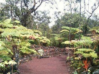 Volcano Rainforest Lodge Ngoại thất bức ảnh